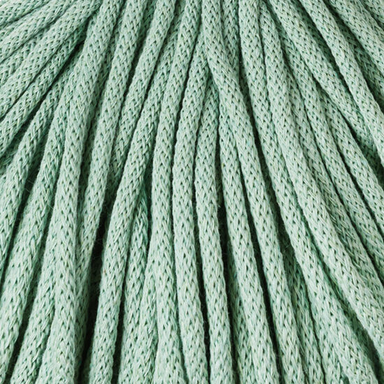 Mazais paliktnis - Aloe